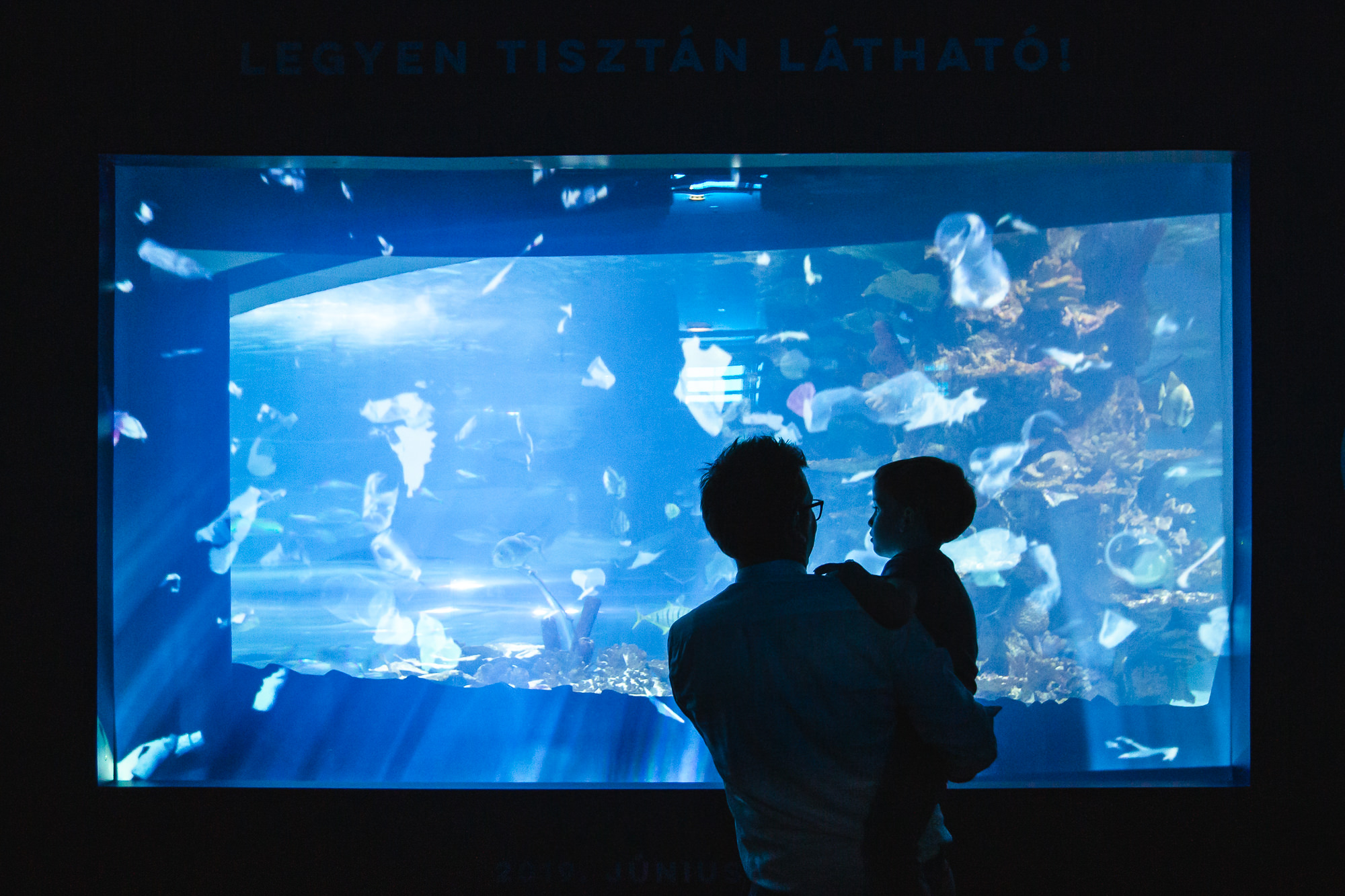 Campona_20190605_Real_Ocean_Exp-13