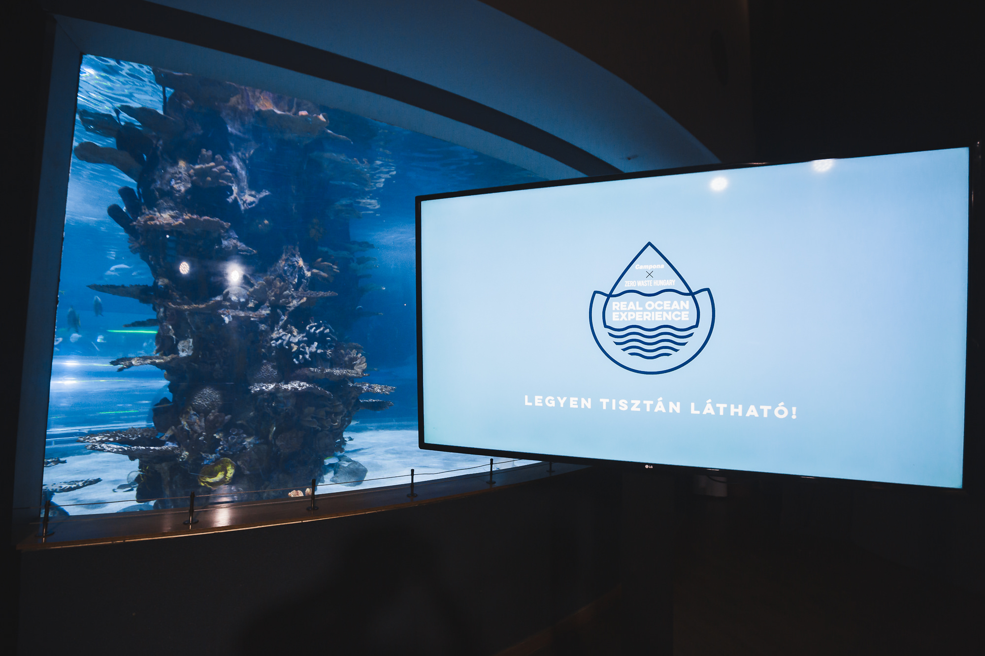 Campona_20190605_Real_Ocean_Exp_final-7