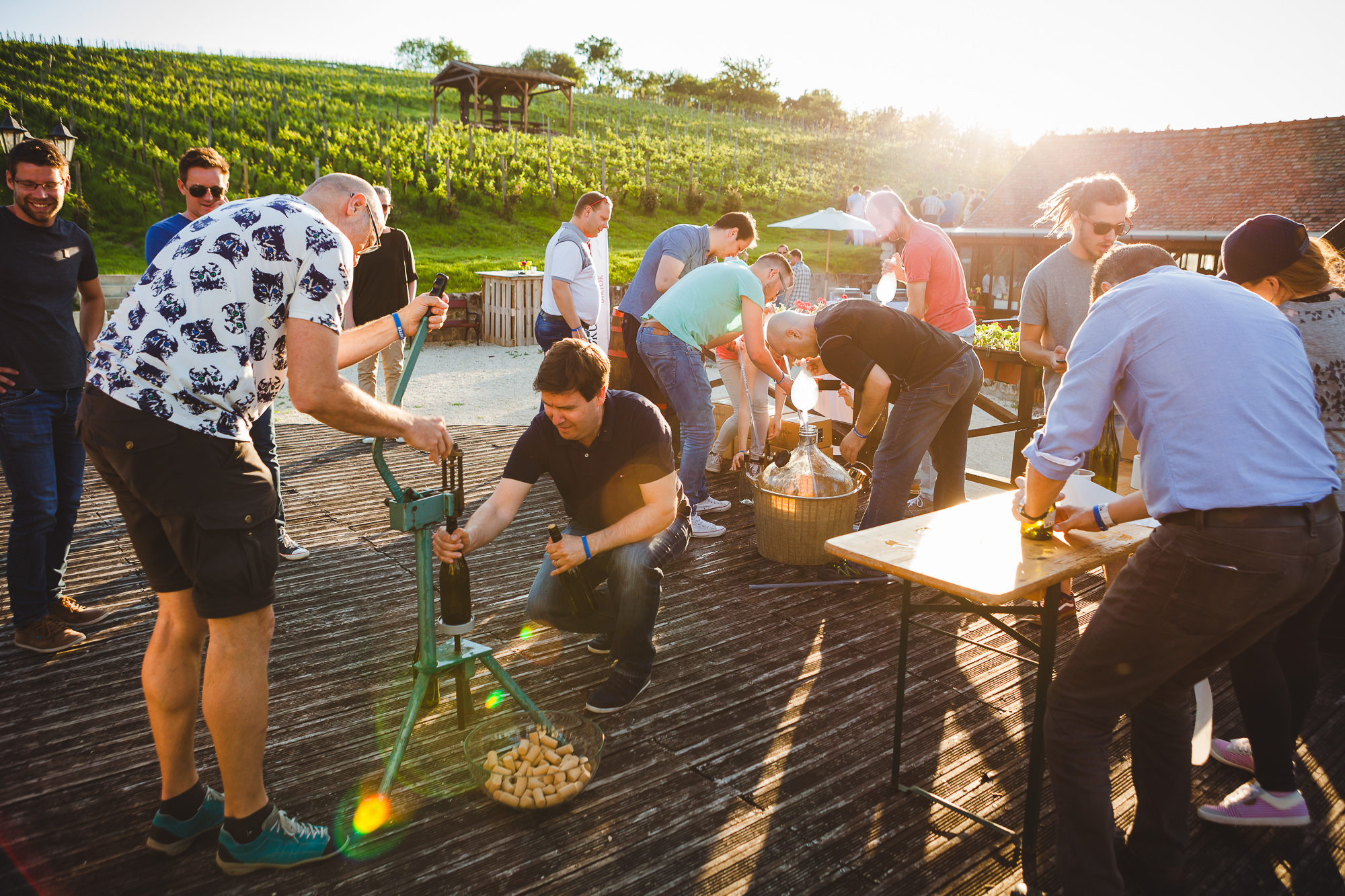 Sauter_20170519_Etyek-61